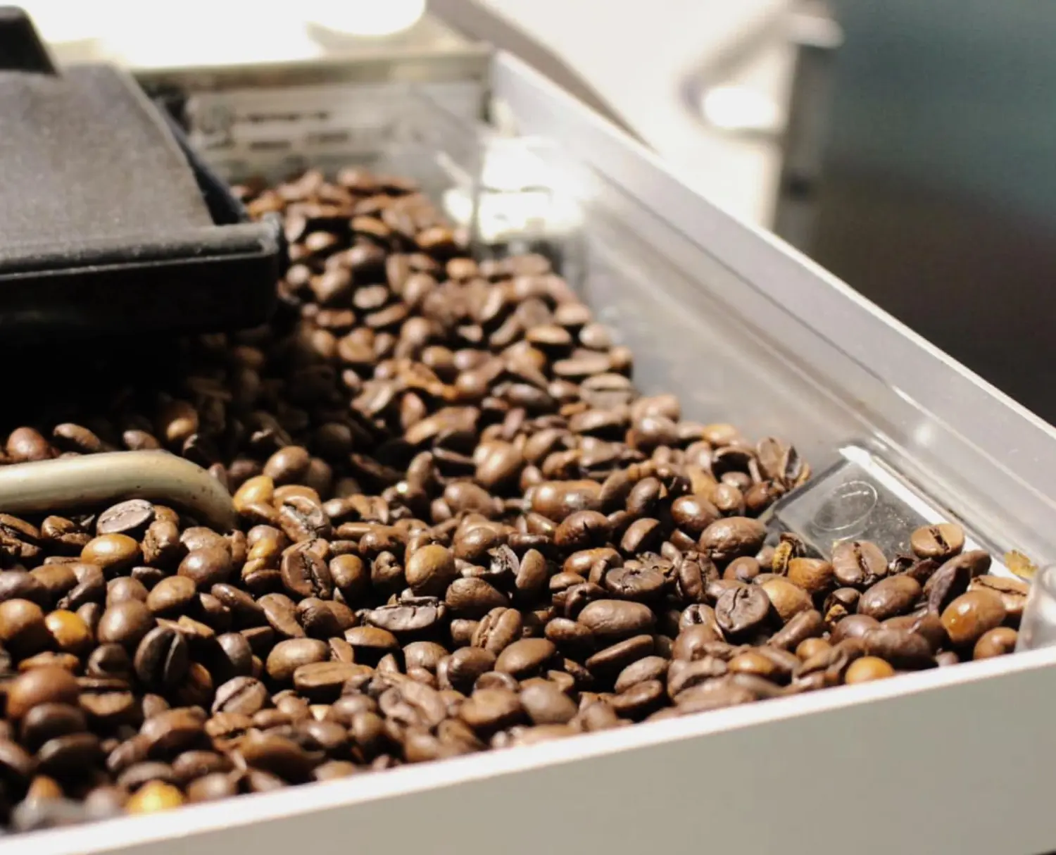 Art Café Orangerie - Café - Kaffeebohnen